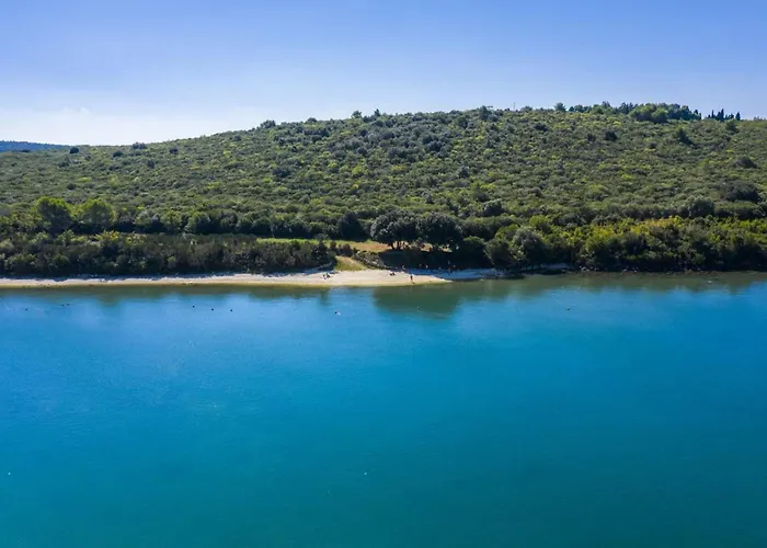 Cozy With Spacious Garden